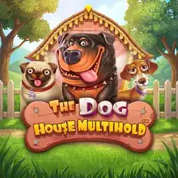 The Dog House Multihold gra w Huuuge Casino dla graczy z Polski
